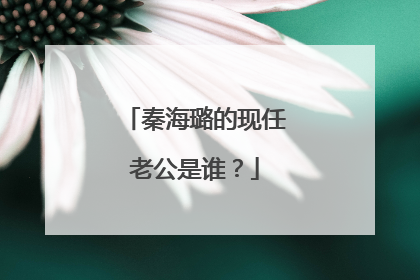 秦海璐的现任老公是谁?