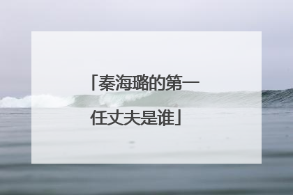 秦海璐的第一任丈夫是谁
