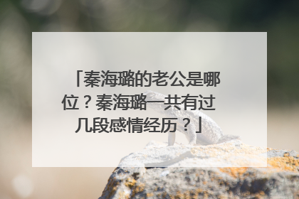秦海璐的老公是哪位？秦海璐一共有过几段感情经历？
