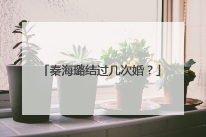 秦海璐结过几次婚?