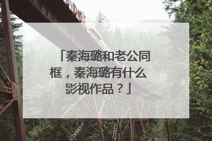 秦海璐和老公同框,秦海璐有什么影视作品?