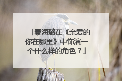 秦海璐在《亲爱的你在哪里》中饰演一个什么样的角色?