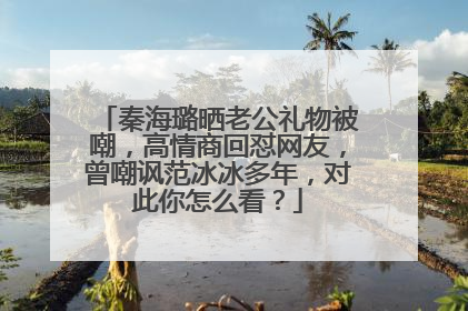 秦海璐晒老公礼物被嘲,高情商回怼网友,曾嘲讽范冰冰多年,对此你怎么看?
