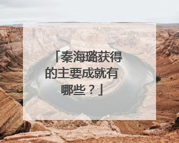 秦海璐获得的主要成就有哪些?