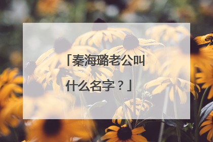 秦海璐老公叫什么名字？