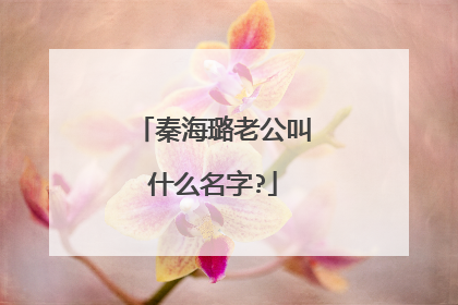 秦海璐老公叫什么名字?