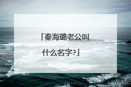 秦海璐老公叫什么名字?