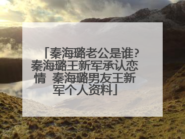 秦海璐老公是谁?秦海璐王新军承认恋情 秦海璐男友王新军个人资料