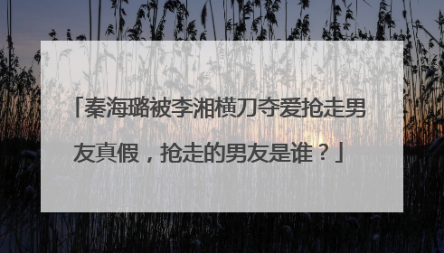 秦海璐被李湘横刀夺爱抢走男友真假，抢走的男友是谁？
