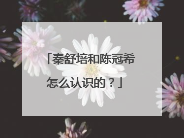 秦舒培和陈冠希怎么认识的？