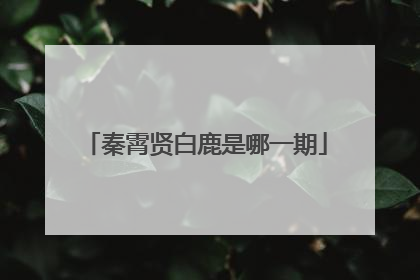秦霄贤白鹿是哪一期