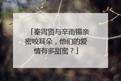 秦霄贤与辛雨锡亲密咬耳朵，他们的爱情有多甜蜜？