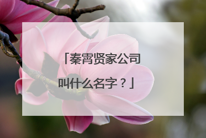 秦霄贤家公司叫什么名字？