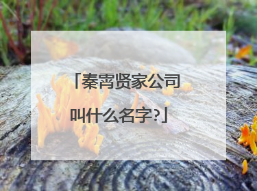 秦霄贤家公司叫什么名字?