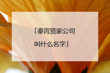秦霄贤家公司叫什么名字
