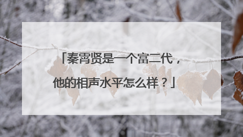 秦霄贤是一个富二代,他的相声水平怎么样?