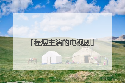 程煜主演的电视剧