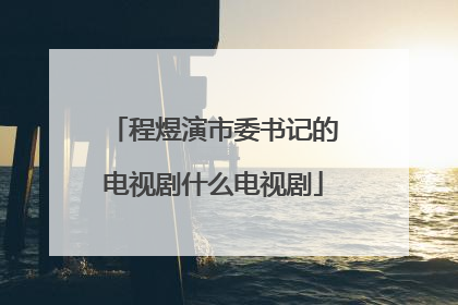 程煜演市委书记的电视剧什么电视剧