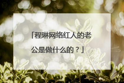 程琳网络红人的老公是做什么的？