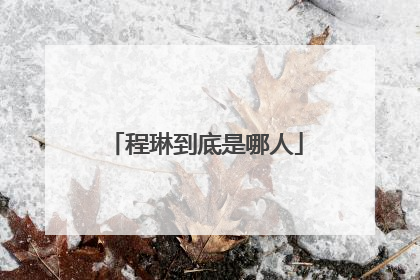 程琳到底是哪人