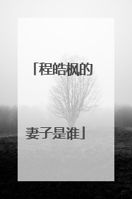 程皓枫的妻子是谁