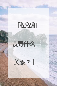 程程和袁野什么关系?