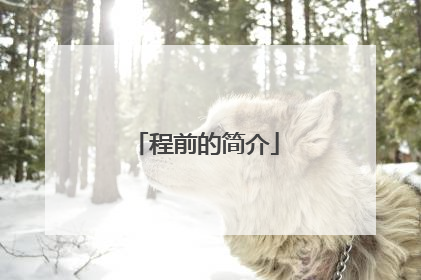 程前的简介