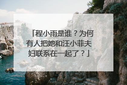 程小雨是谁?为何有人把她和汪小菲夫妇联系在一起了?