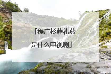 程广杉薛礼燕是什么电视剧