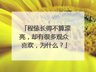 程愫长得不算漂亮，却有很多观众喜欢，为什么？