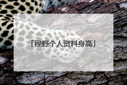 程野个人资料身高