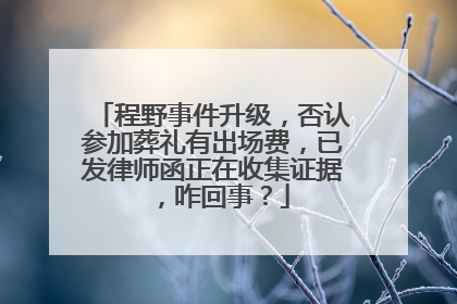 程野事件升级，否认参加葬礼有出场费，已发律师函正在收集证据 ，咋回事？