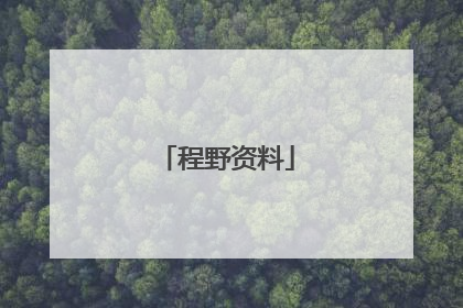 程野资料