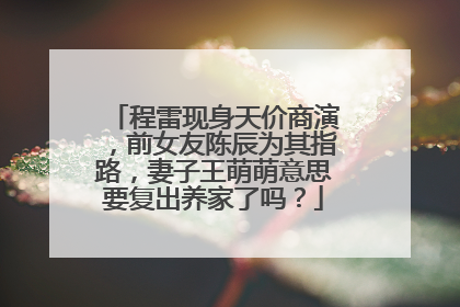 程雷现身天价商演,前女友陈辰为其指路,妻子王萌萌意思要复出养家了吗?