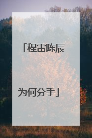 程雷陈辰为何分手