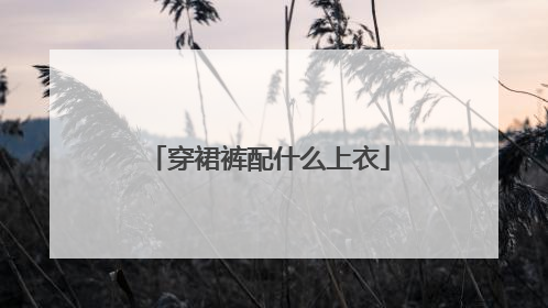 穿裙裤配什么上衣