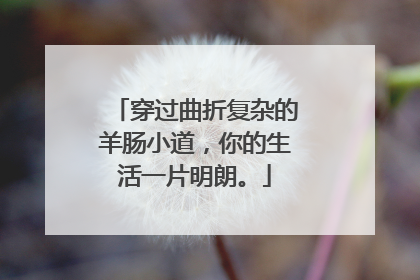 穿过曲折复杂的羊肠小道，你的生活一片明朗。