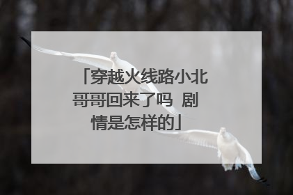 穿越火线路小北哥哥回来了吗 剧情是怎样的