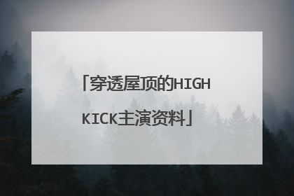 穿透屋顶的HIGHKICK主演资料