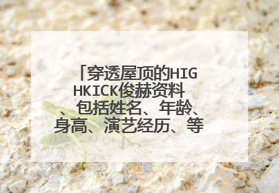 穿透屋顶的HIGHKICK俊赫资料、包括姓名、年龄、身高、演艺经历、等等的、谢谢了