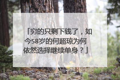 穷的只剩下钱了，如今58岁的何超琼为何依然选择继续单身？