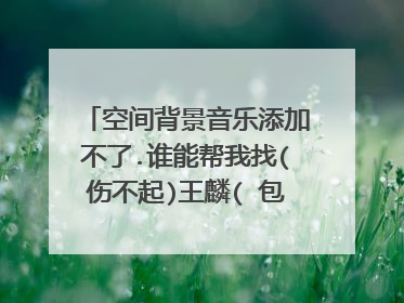 空间背景音乐添加不了.谁能帮我找(伤不起)王麟( 包容) 郑源这两首歌的链接地址.不要有&.=的字符