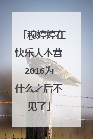 穆婷婷在快乐大本营2016为什么之后不见了