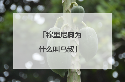 穆里尼奥为什么叫鸟叔