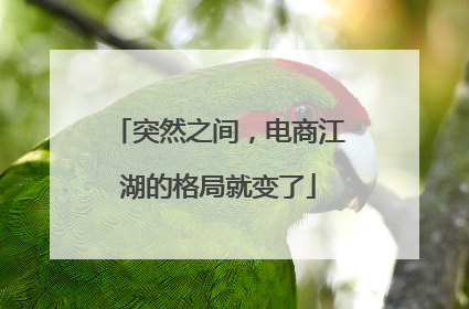 突然之间，电商江湖的格局就变了