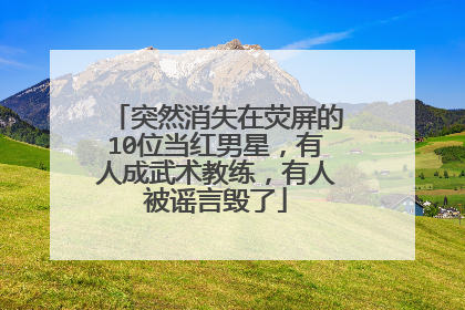 突然消失在荧屏的10位当红男星，有人成武术教练，有人被谣言毁了