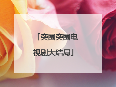 突围突围电视剧大结局