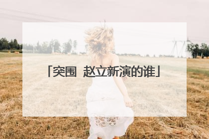 突围 赵立新演的谁