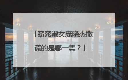 窈窕淑女庞晓杰撒谎的是哪一集？
