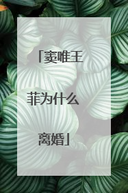 窦唯王菲为什么离婚